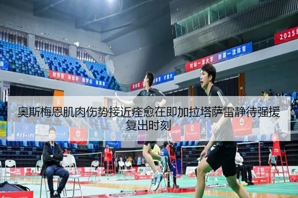 奥斯梅恩肌肉伤势接近痊愈在即加拉塔萨雷静待强援复出时刻